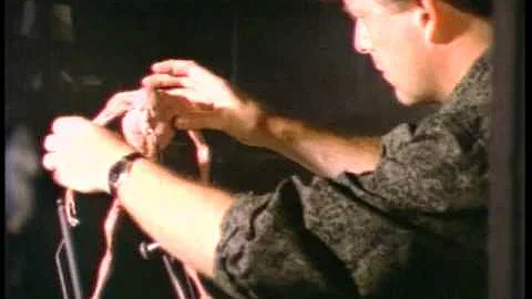 Randall William Cook (stop-motion animator)