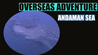 Andaman Sea Dive Adventure