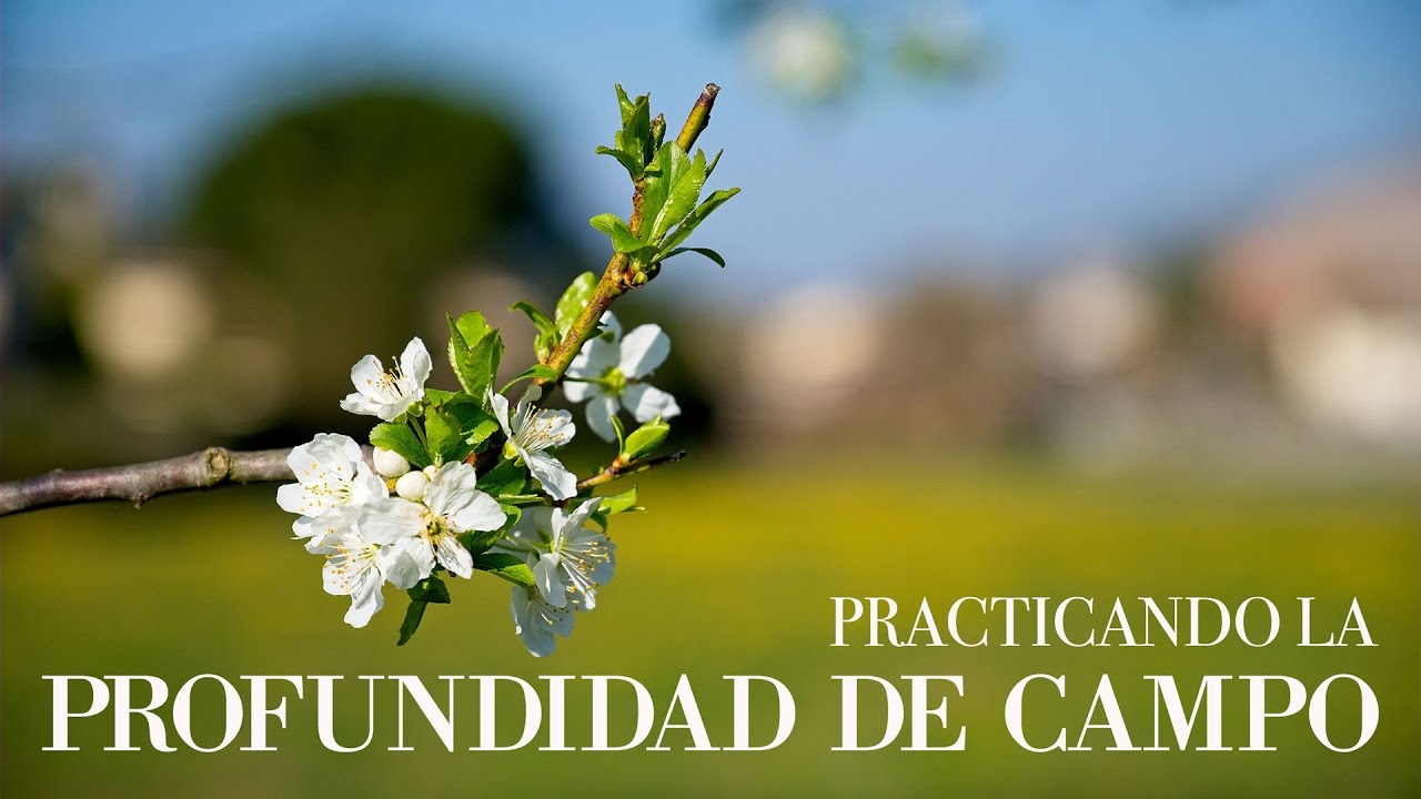 Practicando la Profundidad de Campo