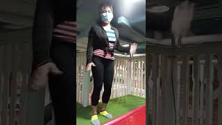 Brektime Short Dance 