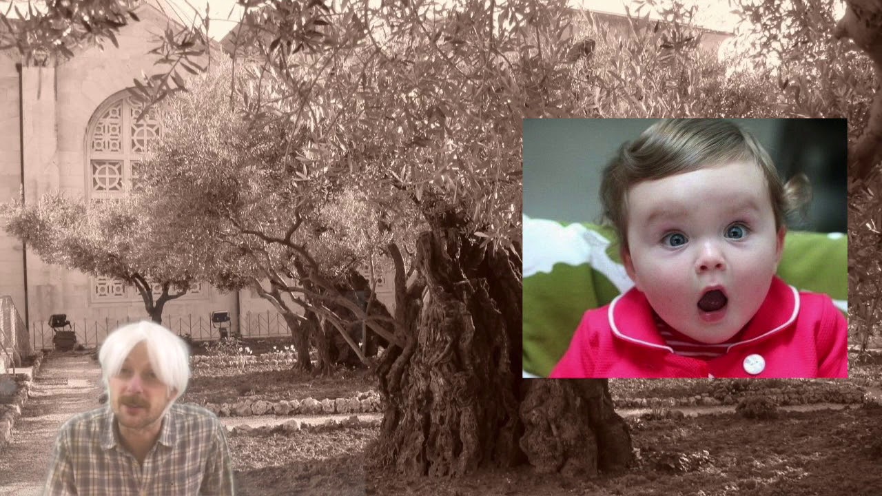 Mount of Olives Kids News YouTube