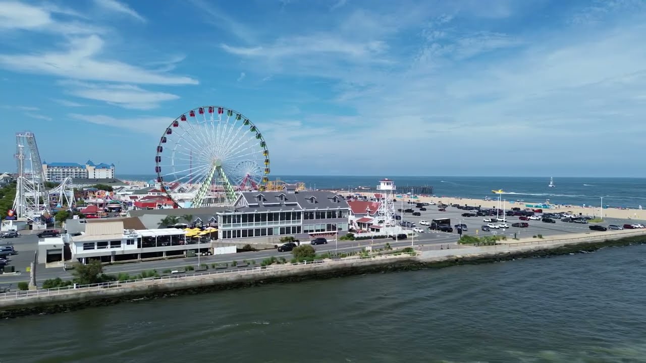 Group Events at the Harbor Watch!