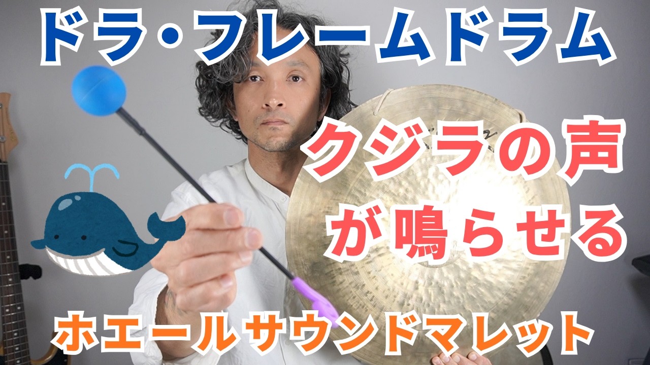 【癒す音】クジラの声を奏でる特殊なバチ ホエールサウンドマレット ドラやフレームドラムをこすると癒しの音がする
