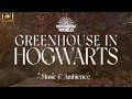1 Hour Deep Focus | Hogwarts Greenhouse Music & Ambience for Study, Relax & Sleeping🌙 | Harry Potter