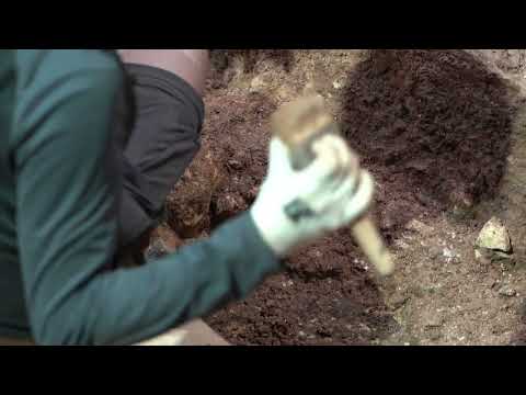 Descubierta la cara del primer europeo en la Sima del Elefante de Atapuerca: 1,4 millones de años