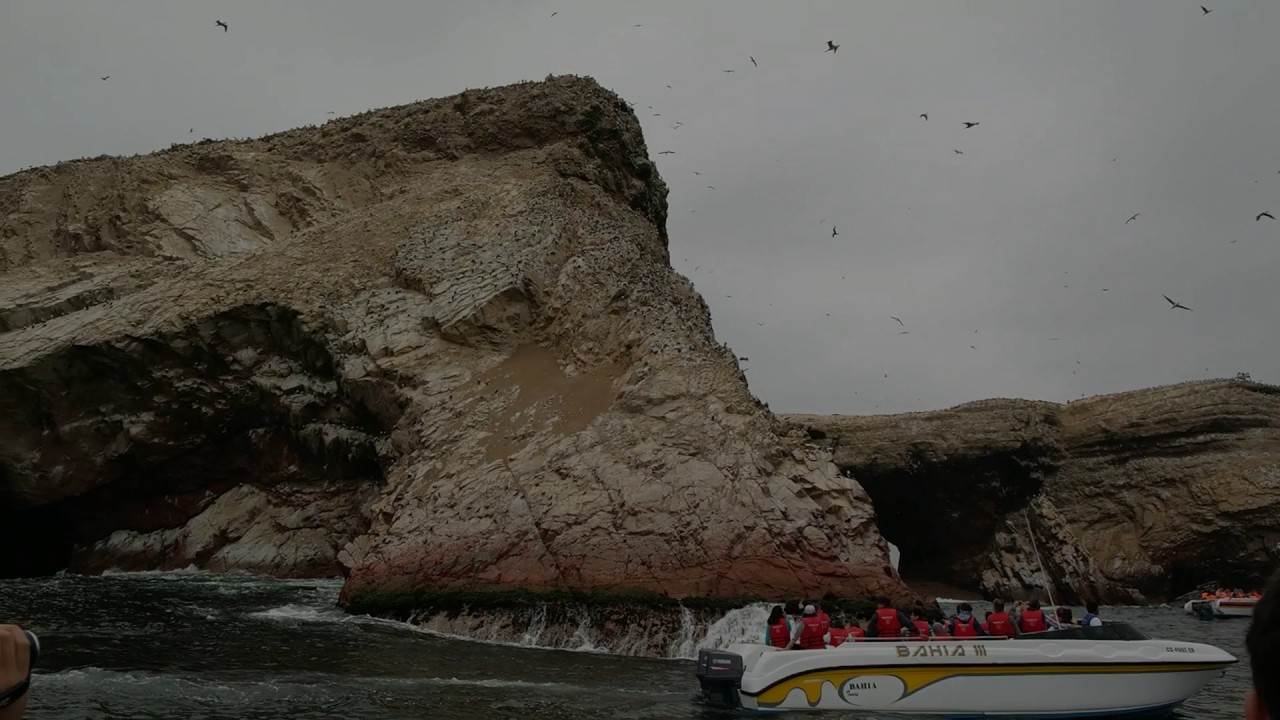 2016-10-23 - Reserva Nacional Islas Ballestas