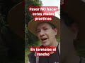 Malas prácticas en termales el rancho