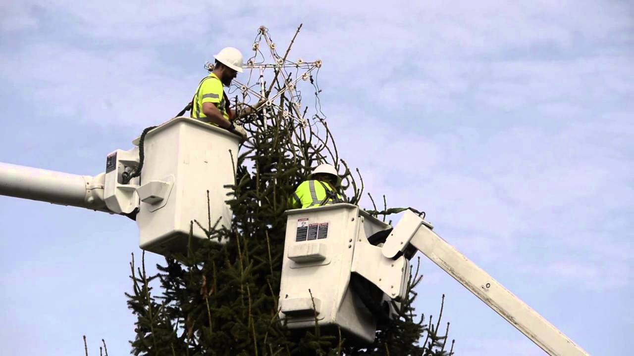 Augusta City Christmas Tree Gets Put Up YouTube