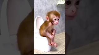 Download Lagu shifa ki bathroom me kon hi😫#shorts #funny #viralvideos #trending #shifaprween9519 MP3