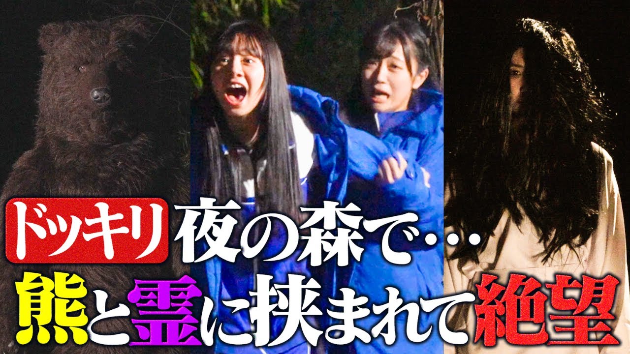 【ドッキリ】夜の森で巨大熊と霊に挟まれ絶望【僕が見たかった青空】