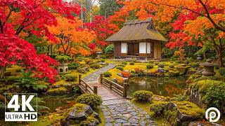 Peaceful Autumn Escape 🍂 Colorful Forest Scenery with Nature Sounds & Soft Piano Music