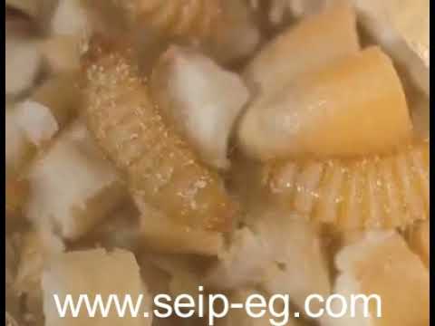 خنفساء الصعيد - Khapra beetle