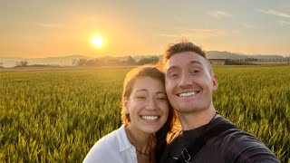 KOREA'S BEST SUNSET (Suncheon Wetlands)