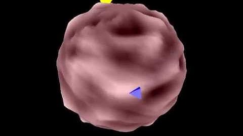 Unfinished Space Game Prototype in C++ (OpenGL+SDL)