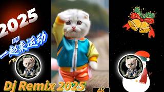 Dj Remix 2024 |dj breakbeat 2024 terbaru |dj breakbeat 2024 |dj