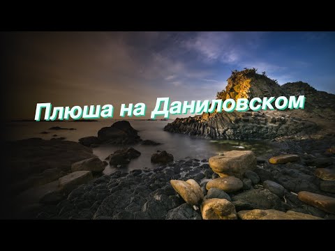 Плюша на Даниловском