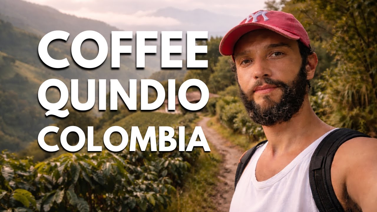 Из Боготы в Геную 🇨🇴 Волонтерская работа на кофейной плантации в Киндио