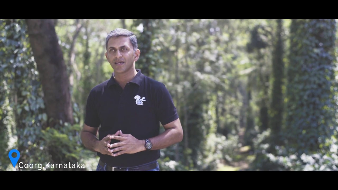 What is Artisan coffee? How is Artisan Coffee Cultivated?