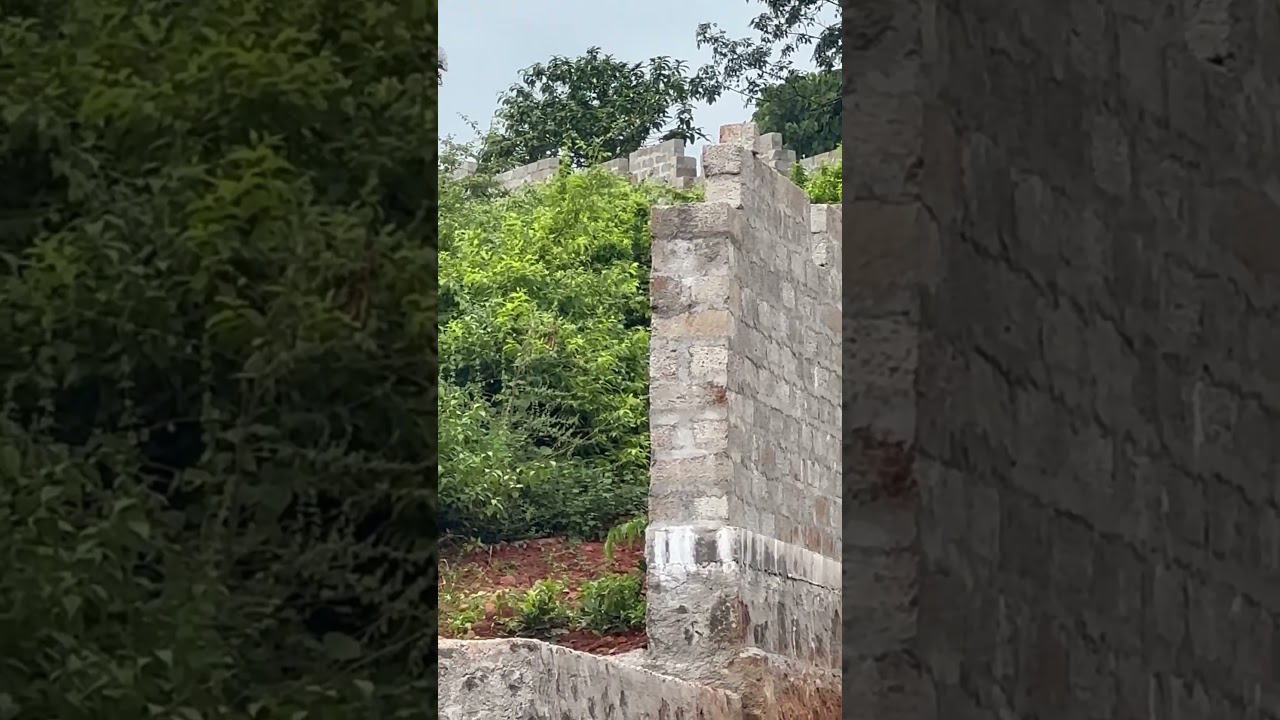 ജയിൽ മണ്ണാർക്കാട് 