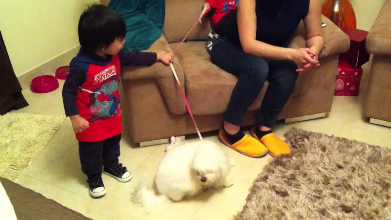 Kuya Basti and Seth playing with Gucci Part 1