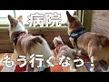 みんなが心配しないよう、一緒に病院に通ってます