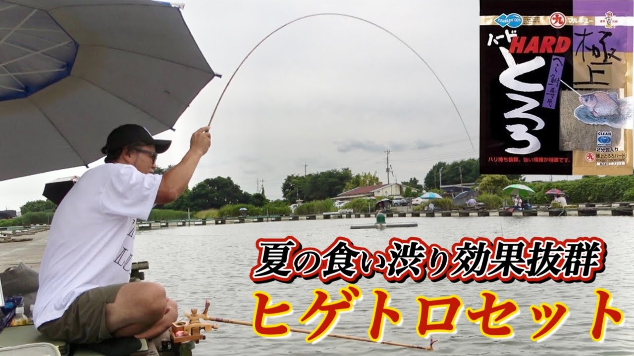 夏の食い渋りに効果抜群！大型ヘラブナ“通称バコベラ”をヒゲトロセットで徹底攻略【筑波湖】