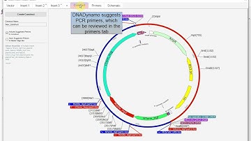 DNADynamo Software Update June 2024