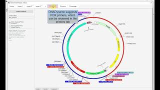 Dnadynamo Software Update June 2024