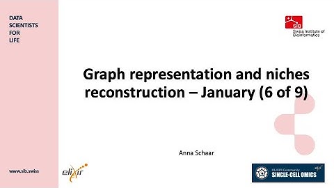 Graph representation and niches reconstruction - January 2025 (6 of 9)