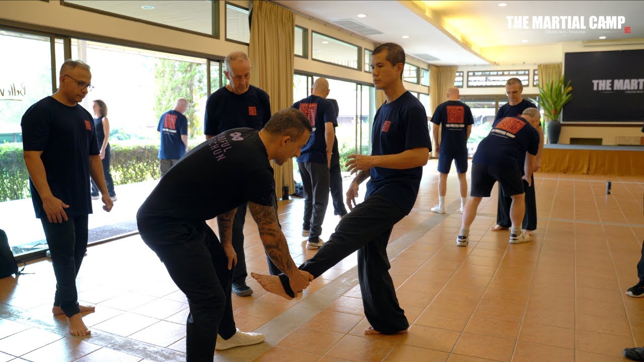 За пределами точки контакта: осознанный Вин-Чунь Нимы Кинга