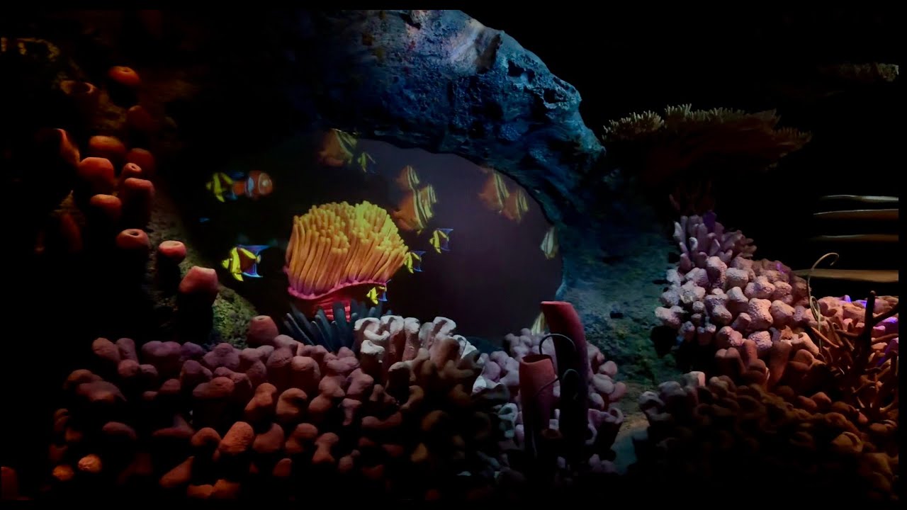 Attraction Ride Along | The Seas with Nemo & Friends - YouTube