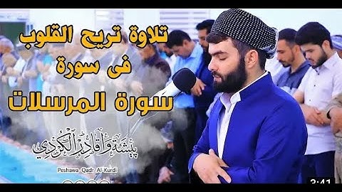 ቁርዐን ብቻ سورة المرسلات خاشعة فى صلاة التراويح للقارئሱራ ሙርሰላት የተላኪዎች ምዕራፍ ቁርርአን   بيشةوا قادر الكردى