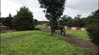 Ad ref 287963   Video 1