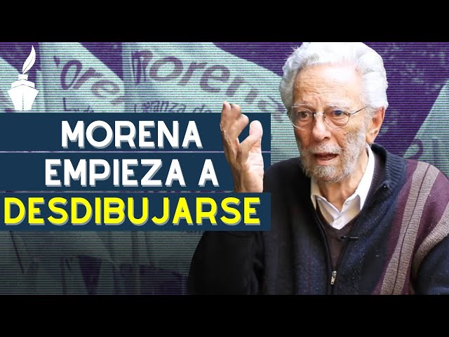 ¿Encuestas? Son instrumento de mercadotecnia, no digno de la política: Dussel