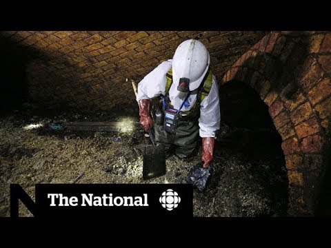 Fatberg clogging London sewers