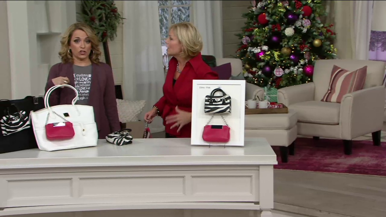 Set of 2 Cell Phone Bags by Lori Greiner on QVC YouTube