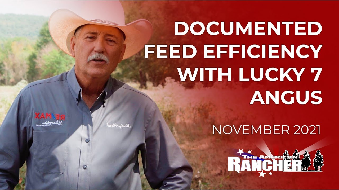 Documented Feed Efficiency with Lucky 7 Angus | The American Rancher ...
