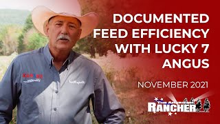 Documented Feed Efficiency with Lucky 7 Angus | The American Rancher