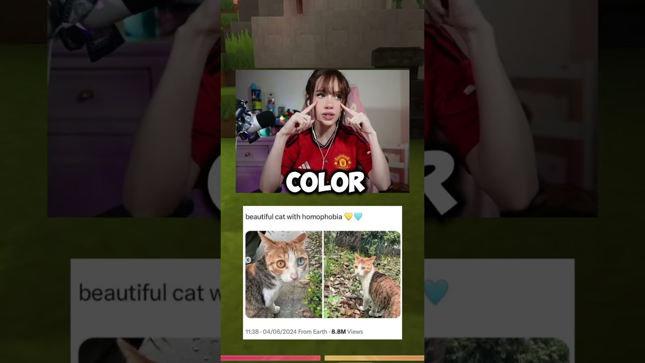 Bro has no idea what he is saying... 