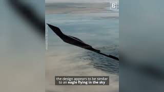 The B2 Stealth Bomber