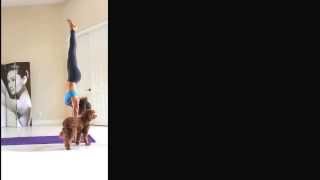 Press-Up To Handstand To Astavakrasana 8 Angle Pose With A Little Help From My Friends