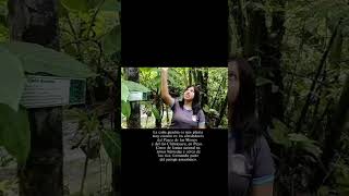 🌿🐒 Explorando la selva amazónica | Puyo, Ecuador 🇪🇨