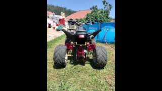 Shineray 300cc with XT600 engine