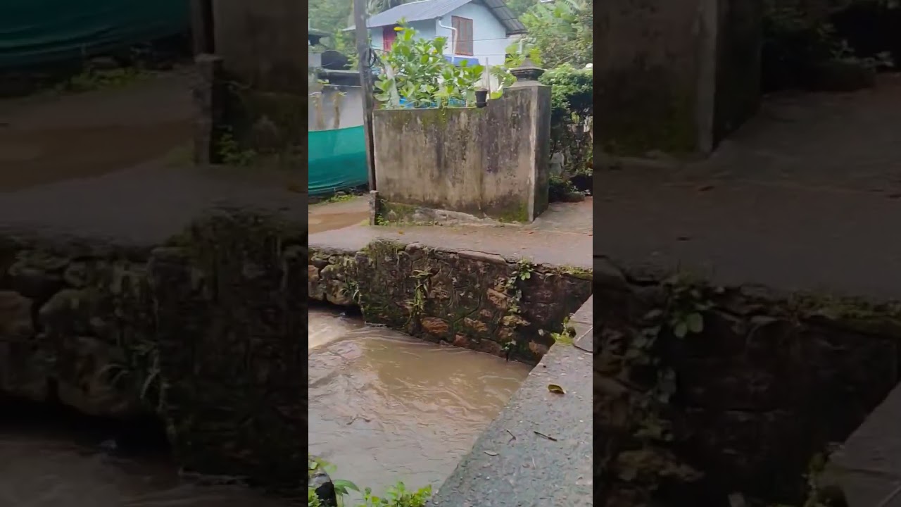 Between Walls and Wonders: Kerala’s Petite Street Charms 