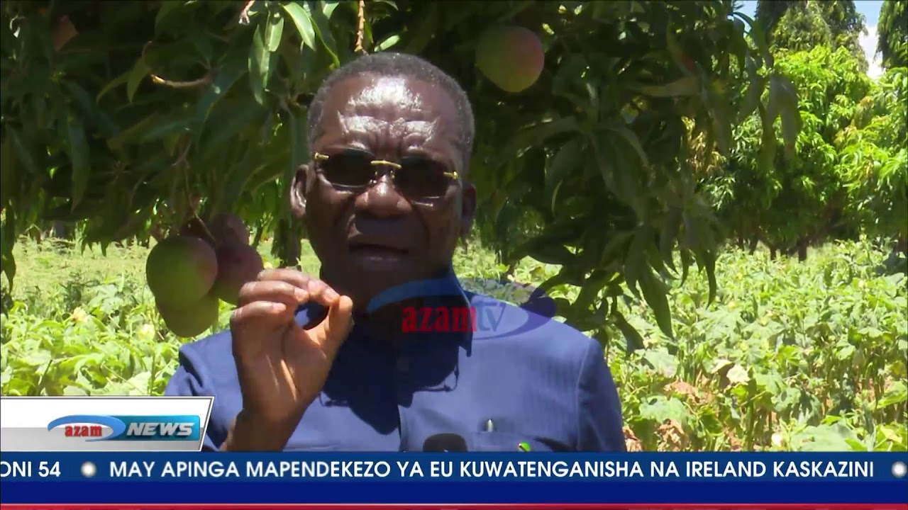 Mwone Mizengo Pinda akipambana shambani kutafuta pesa