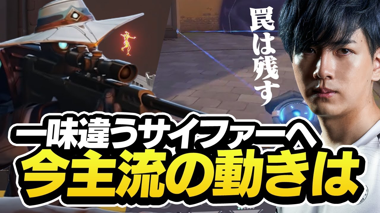 希少レイズワイヤー 2本