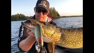 Werpend Vissen Op Snoek Met Grote Shads