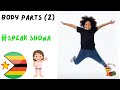 Learn how to say body parts in shona part 2  shona classes shonabeginner lessons shonalessons