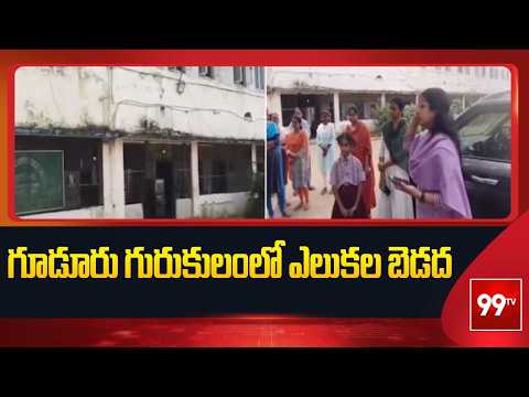 Mahabubabad : గూడూరు గురుకులంలో ఎలుకల బెడద | Gudur Gurukulam Faces Rat Problem | 99TV