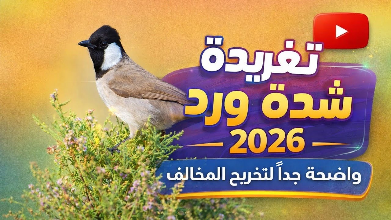 تغريدة شدة ورد واضح لتخريج المخالف | بلبل ابيض الخدين بلابل تمر #بلابل ...